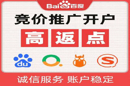 百度竞价广告运营全解析：成功案例揭秘